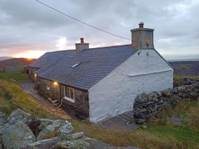 Bryn Derwen